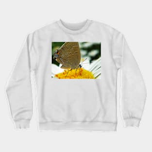 garden visitor Crewneck Sweatshirt